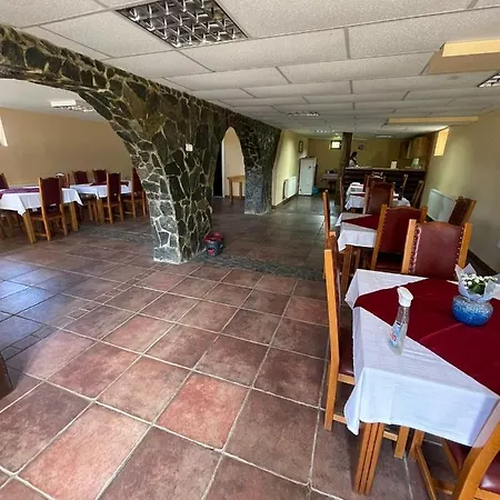 Pensiunea Ducu Guest house