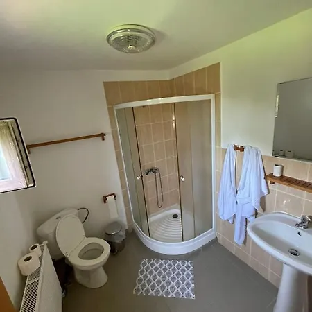 Guest house Pensiunea Ducu *