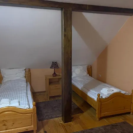 Pensiunea Ducu Guest house *