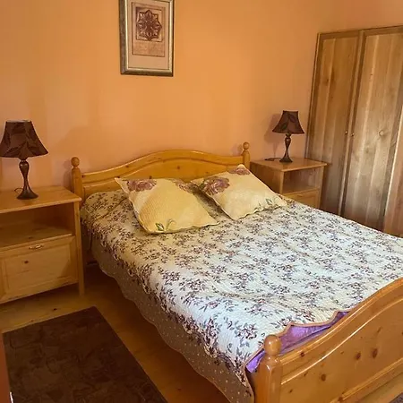 Pensiunea Ducu Guest house