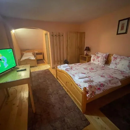 Pensiunea Ducu Guest house