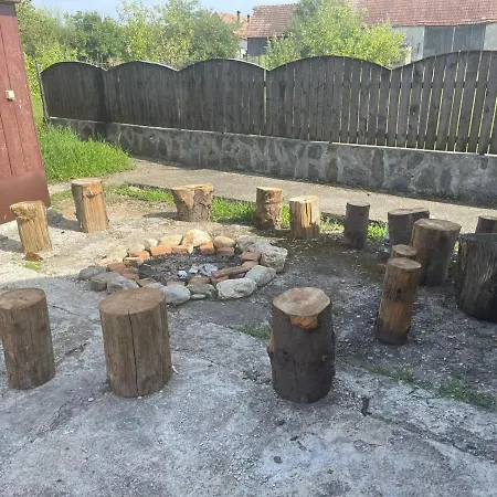 Pensiunea Ducu * Scoreiu