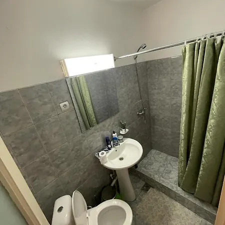 Pensiunea Ducu Guest house *
